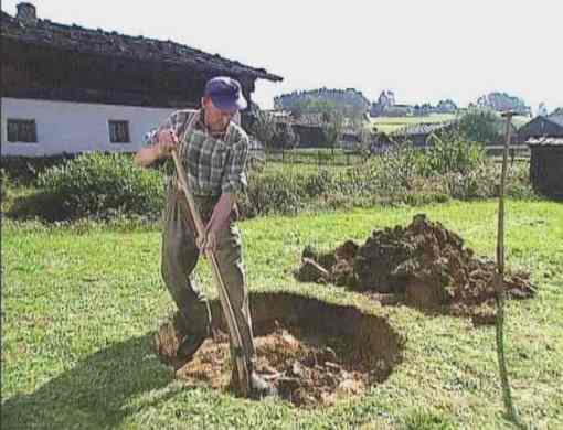 Brunnenbauer Georg Stadler